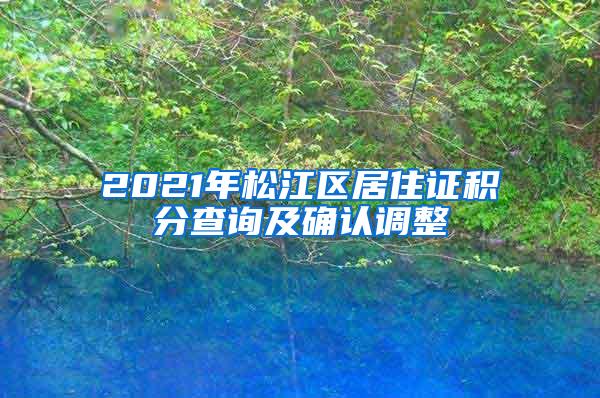 2021年松江区居住证积分查询及确认调整