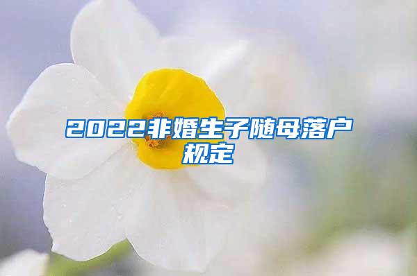 2022非婚生子随母落户规定