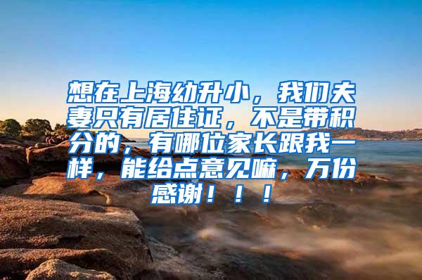 想在上海幼升小，我们夫妻只有居住证，不是带积分的，有哪位家长跟我一样，能给点意见嘛，万份感谢！！！