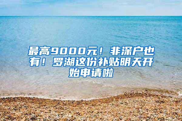 最高9000元！非深户也有！罗湖这份补贴明天开始申请啦