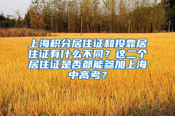 上海积分居住证和投靠居住证有什么不同？这二个居住证是否都能参加上海中高考？