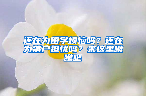 还在为留学烦恼吗？还在为落户担忧吗？来这里瞅瞅吧