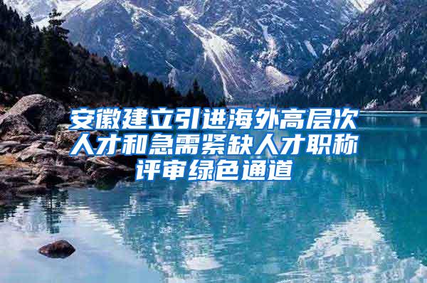 安徽建立引进海外高层次人才和急需紧缺人才职称评审绿色通道