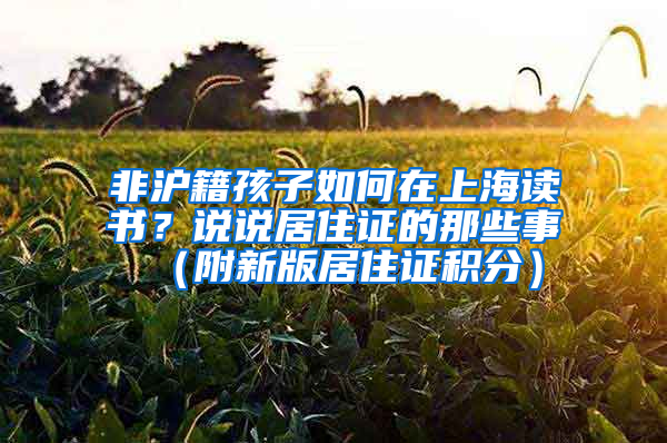 非沪籍孩子如何在上海读书？说说居住证的那些事（附新版居住证积分）