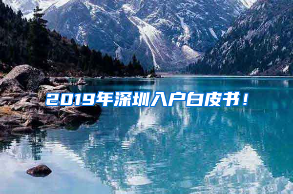 2019年深圳入户白皮书！