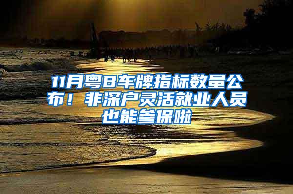 11月粤B车牌指标数量公布！非深户灵活就业人员也能参保啦