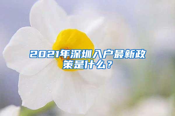 2021年深圳入户最新政策是什么？