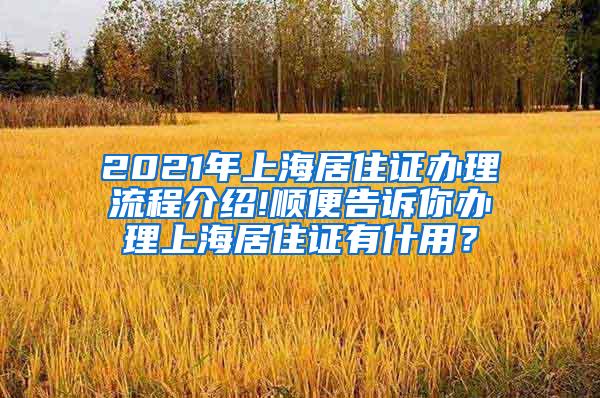 2021年上海居住证办理流程介绍!顺便告诉你办理上海居住证有什用？