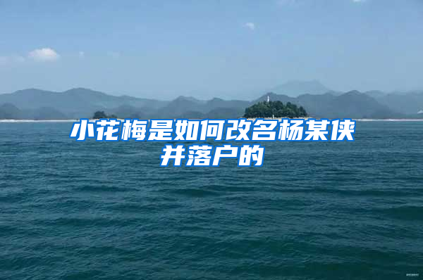 小花梅是如何改名杨某侠并落户的