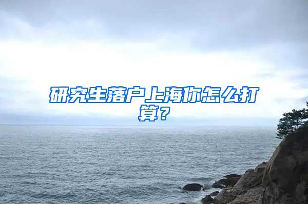 研究生落户上海你怎么打算？