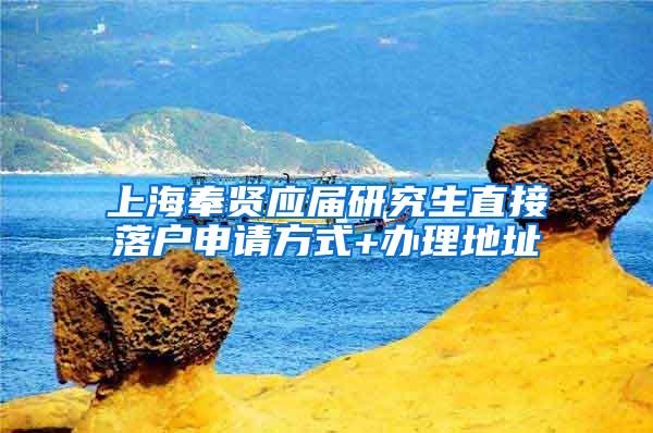 上海奉贤应届研究生直接落户申请方式+办理地址