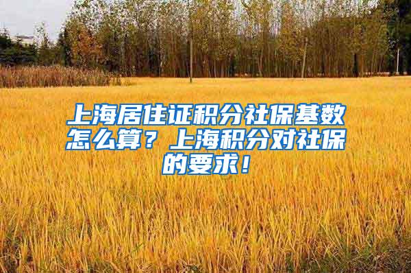 上海居住证积分社保基数怎么算？上海积分对社保的要求！