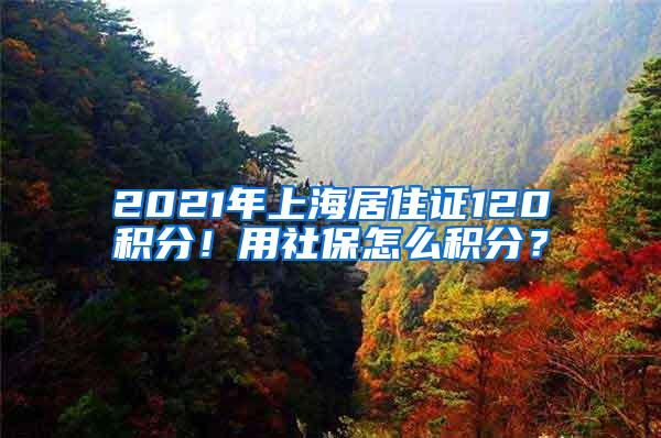 2021年上海居住证120积分！用社保怎么积分？