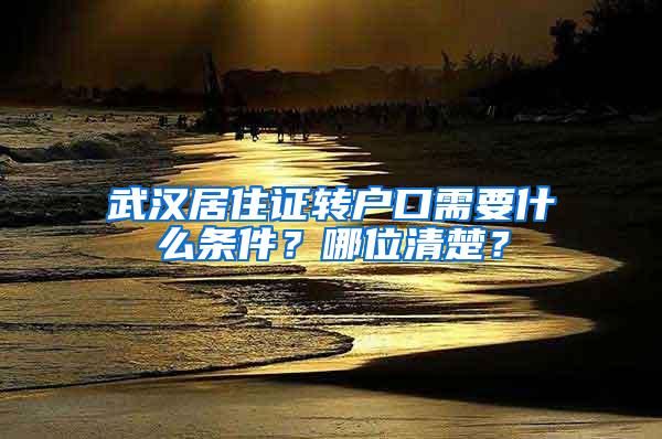 武汉居住证转户口需要什么条件？哪位清楚？