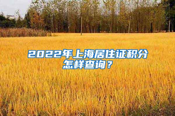 2022年上海居住证积分怎样查询？