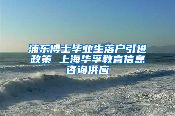 浦东博士毕业生落户引进政策 上海华孚教育信息咨询供应