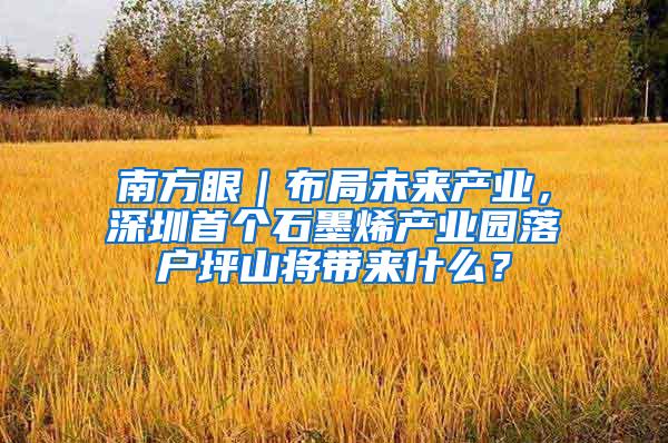 南方眼｜布局未来产业，深圳首个石墨烯产业园落户坪山将带来什么？