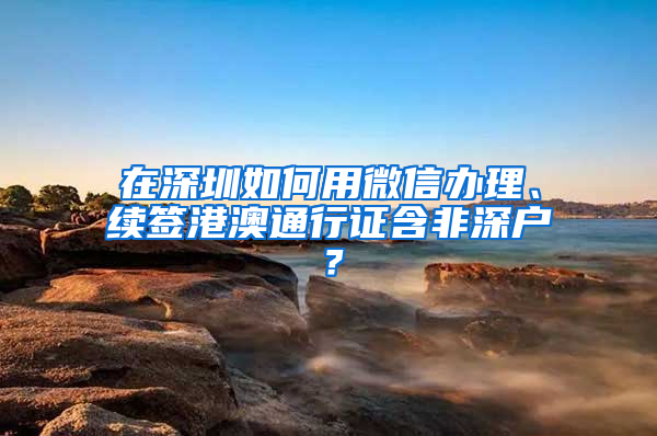 在深圳如何用微信办理、续签港澳通行证含非深户？