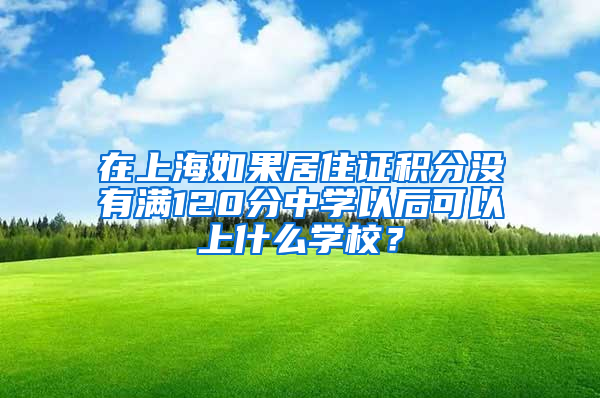 在上海如果居住证积分没有满120分中学以后可以上什么学校？