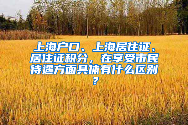 上海户口、上海居住证、居住证积分，在享受市民待遇方面具体有什么区别？