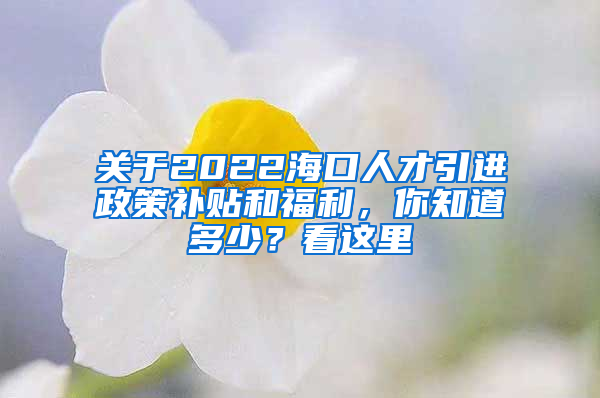 关于2022海口人才引进政策补贴和福利，你知道多少？看这里