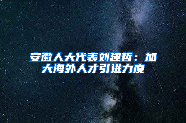 安徽人大代表刘建哲：加大海外人才引进力度