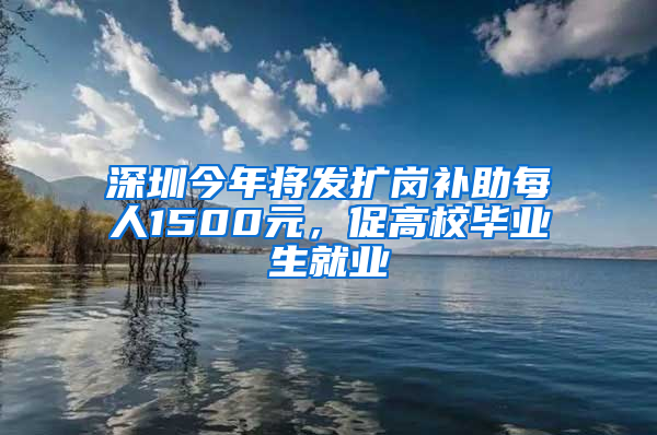 深圳今年将发扩岗补助每人1500元，促高校毕业生就业