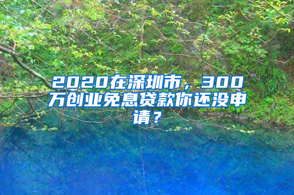 2020在深圳市，300万创业免息贷款你还没申请？