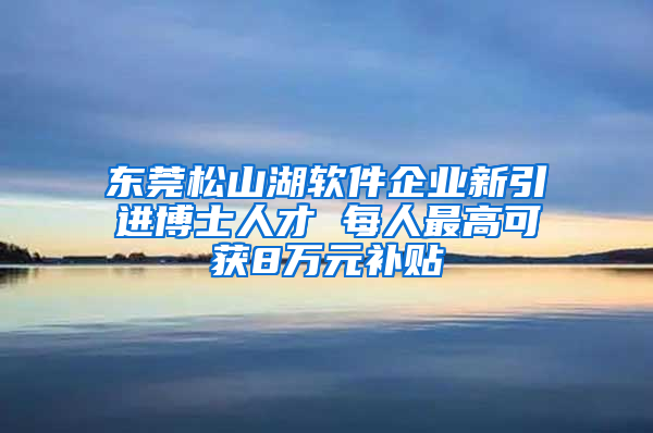 东莞松山湖软件企业新引进博士人才 每人最高可获8万元补贴