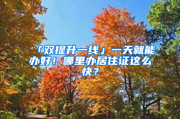 「双提升一线」一天就能办好！哪里办居住证这么快？