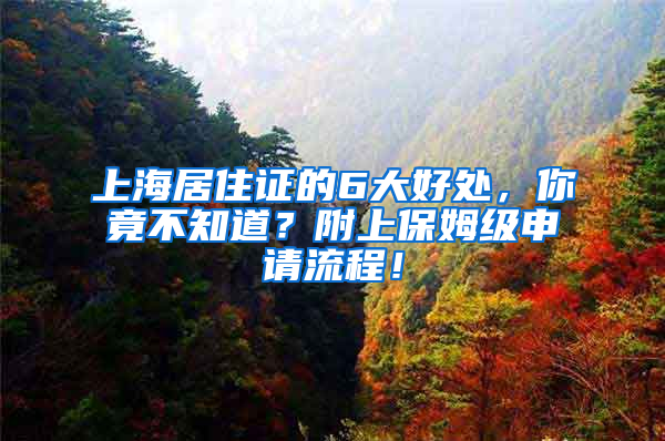 上海居住证的6大好处，你竟不知道？附上保姆级申请流程！