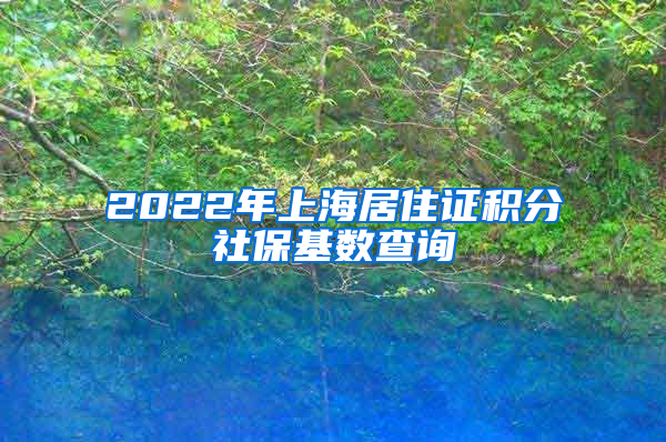 2022年上海居住证积分社保基数查询