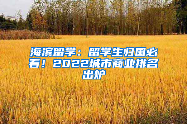 海滨留学：留学生归国必看！2022城市商业排名出炉