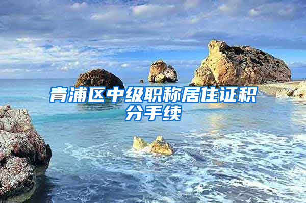 青浦区中级职称居住证积分手续