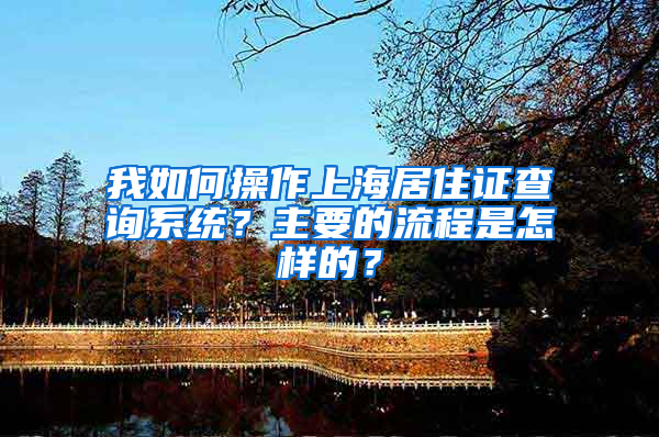 我如何操作上海居住证查询系统？主要的流程是怎样的？