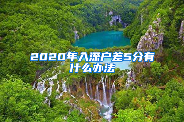 2020年入深户差5分有什么办法