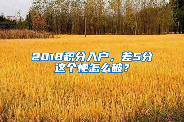 2018积分入户，差5分这个梗怎么破？