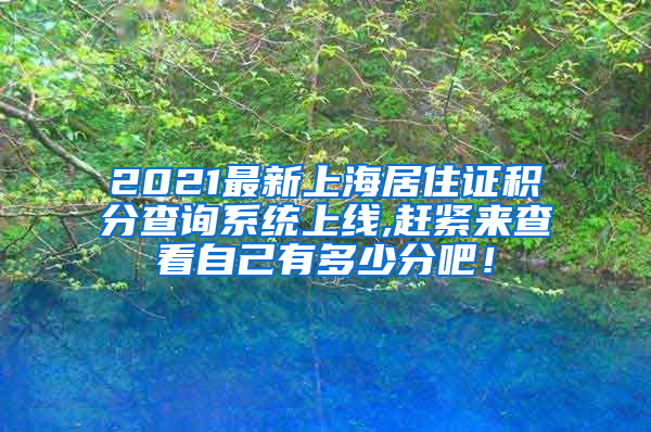 2021最新上海居住证积分查询系统上线,赶紧来查看自己有多少分吧！