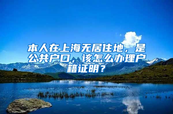 本人在上海无居住地，是公共户口，该怎么办理户籍证明？