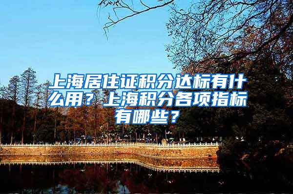 上海居住证积分达标有什么用？上海积分各项指标有哪些？