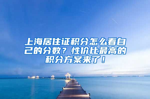 上海居住证积分怎么看自己的分数？性价比最高的积分方案来了！