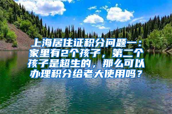 上海居住证积分问题一：家里有2个孩子，第二个孩子是超生的，那么可以办理积分给老大使用吗？