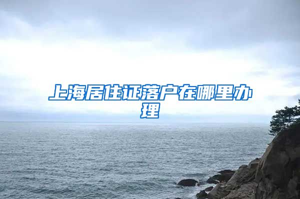 上海居住证落户在哪里办理