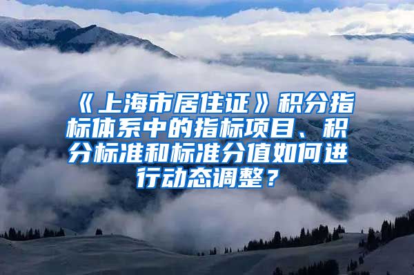 《上海市居住证》积分指标体系中的指标项目、积分标准和标准分值如何进行动态调整？