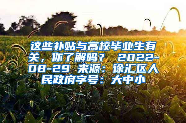 这些补贴与高校毕业生有关，你了解吗？ 2022-08-29 来源：徐汇区人民政府字号：大中小