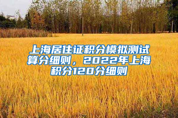 上海居住证积分模拟测试算分细则，2022年上海积分120分细则