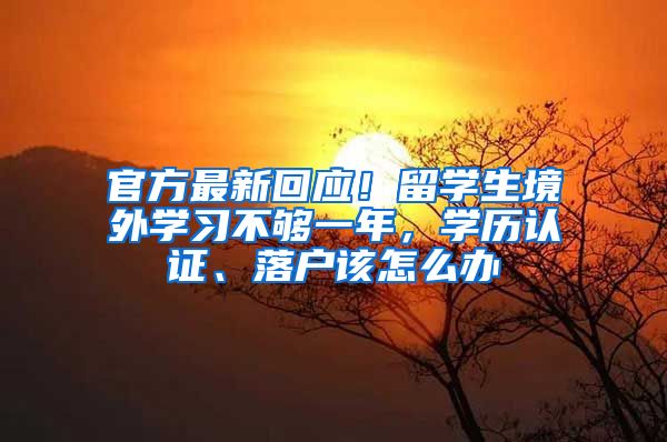 官方最新回应！留学生境外学习不够一年，学历认证、落户该怎么办