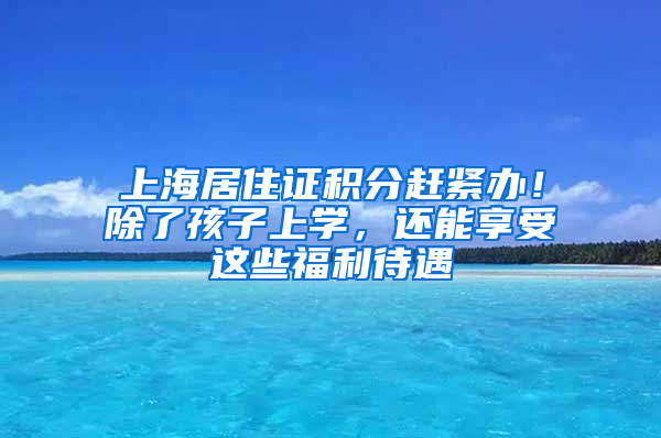 上海居住证积分赶紧办！除了孩子上学，还能享受这些福利待遇