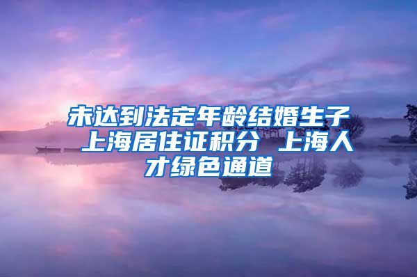 未达到法定年龄结婚生子 上海居住证积分 上海人才绿色通道