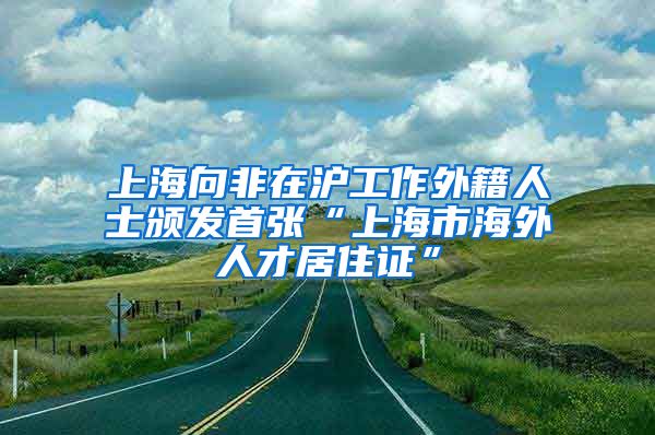 上海向非在沪工作外籍人士颁发首张“上海市海外人才居住证”